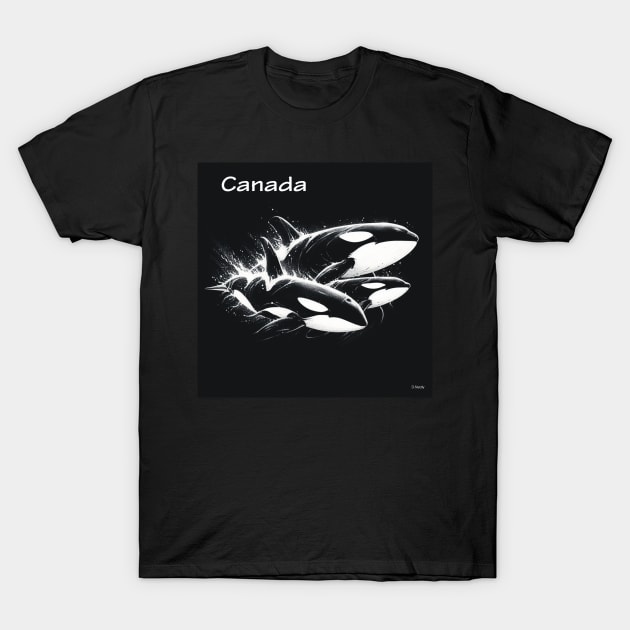 Orcas . T-Shirt by Canadaman99